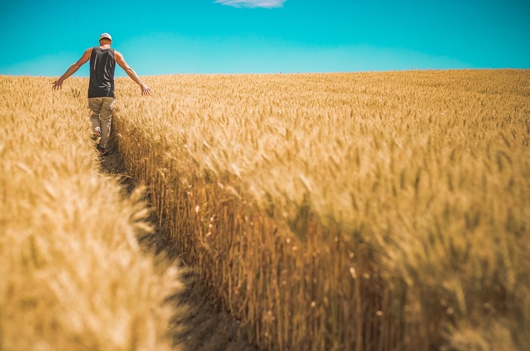 Дев'ять кроків для створення фермерського господарства